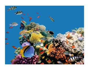 Plakatzeichnung der Unterwasserwelt