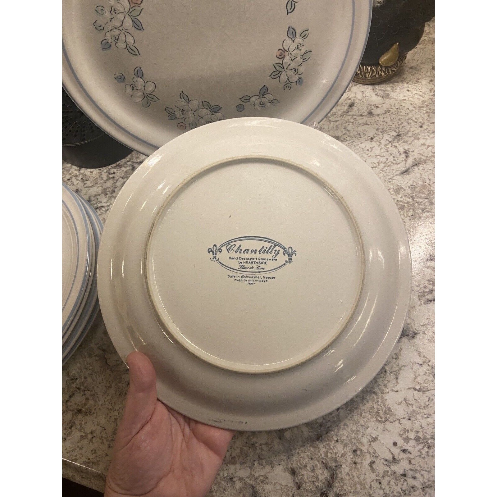 2 CHANTILLY Stoneware Hearthside Vintage Dinner Plates 10 3/4 Fleur De