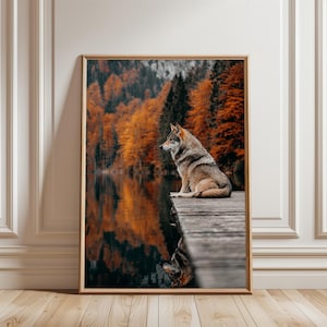 May include: A framed wall art print featuring a gray and brown wolf sitting on a wooden dock. The background displays a calm lake reflecting a dense forest filled with vibrant orange and yellow autumn foliage under a soft, overcast sky.