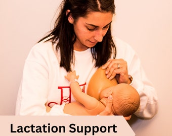 Lactation Assessment Guide for Lactation Consultants, Nurses, Doula's and Childbirth Educators