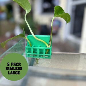 5 Pack Aquarium Plant Holder Adjustable for 10–125 Gallon RIMLESS Fish Tanks Pothos Plant Holder 3D Printed "The Large"