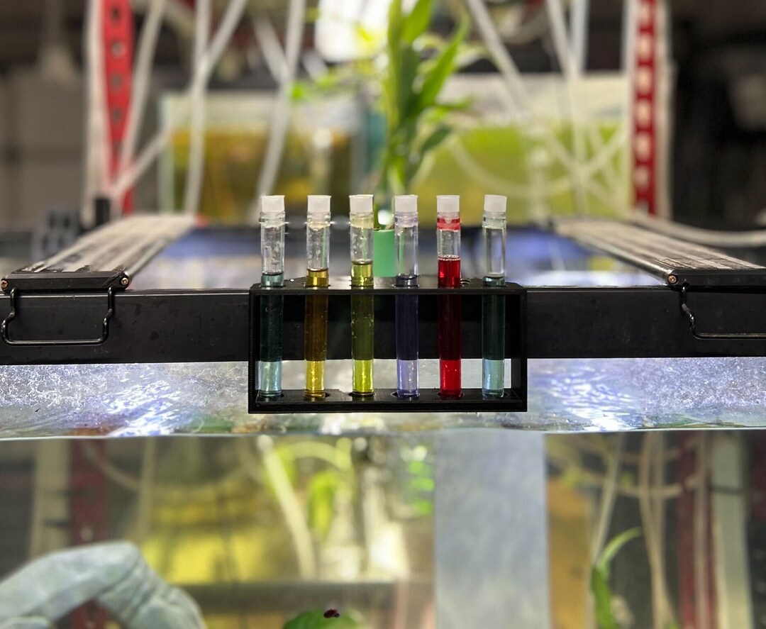 API 6 Test Tube Holder for Aquariums Fish Tanks Hangs on Side of the ...