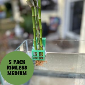 5 Pack Aquarium Plant Holder Adjustable for 10–125 gallon Rimless Fish Tanks Pothos Plant Holder 3D Printed "The Medium"