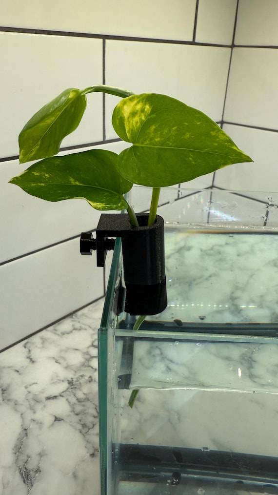 Aquarium Plant Holder Adjustable for Standard RIMLESS Fish Tanks Pothos  Plant Holder 3D Printed the Mini Tube 2.0 - Etsy Norway