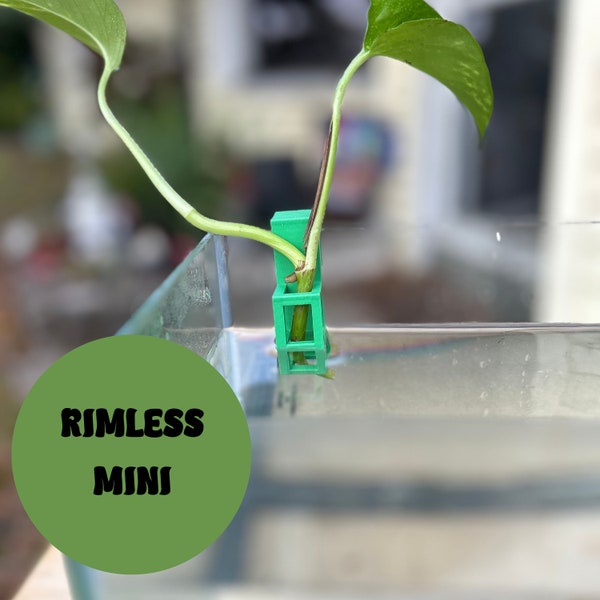 Aquarium Plant Holder for Rimless Fish Tanks Pothos Plant Holder 3D Printed "The Mini"