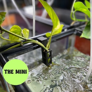 Aquarium Plant Holder for 10 gallon Fish Tanks Pothos Plant Holder 3D Printed "The Mini"