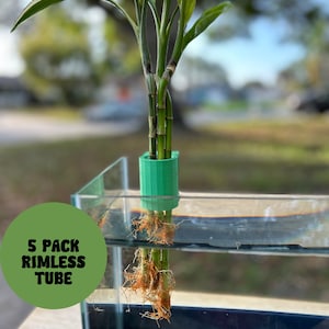 5 Pack Aquarium Plant Holder Adjustable for 10–125 gallon RIMLESS Fish Tanks Pothos Plant Holder 3D Printed "The Tube"