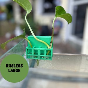 Aquarium Plant Holder Adjustable for 10–125 Gallon RIMLESS Fish Tanks Pothos Plant Holder 3D Printed "The Large"