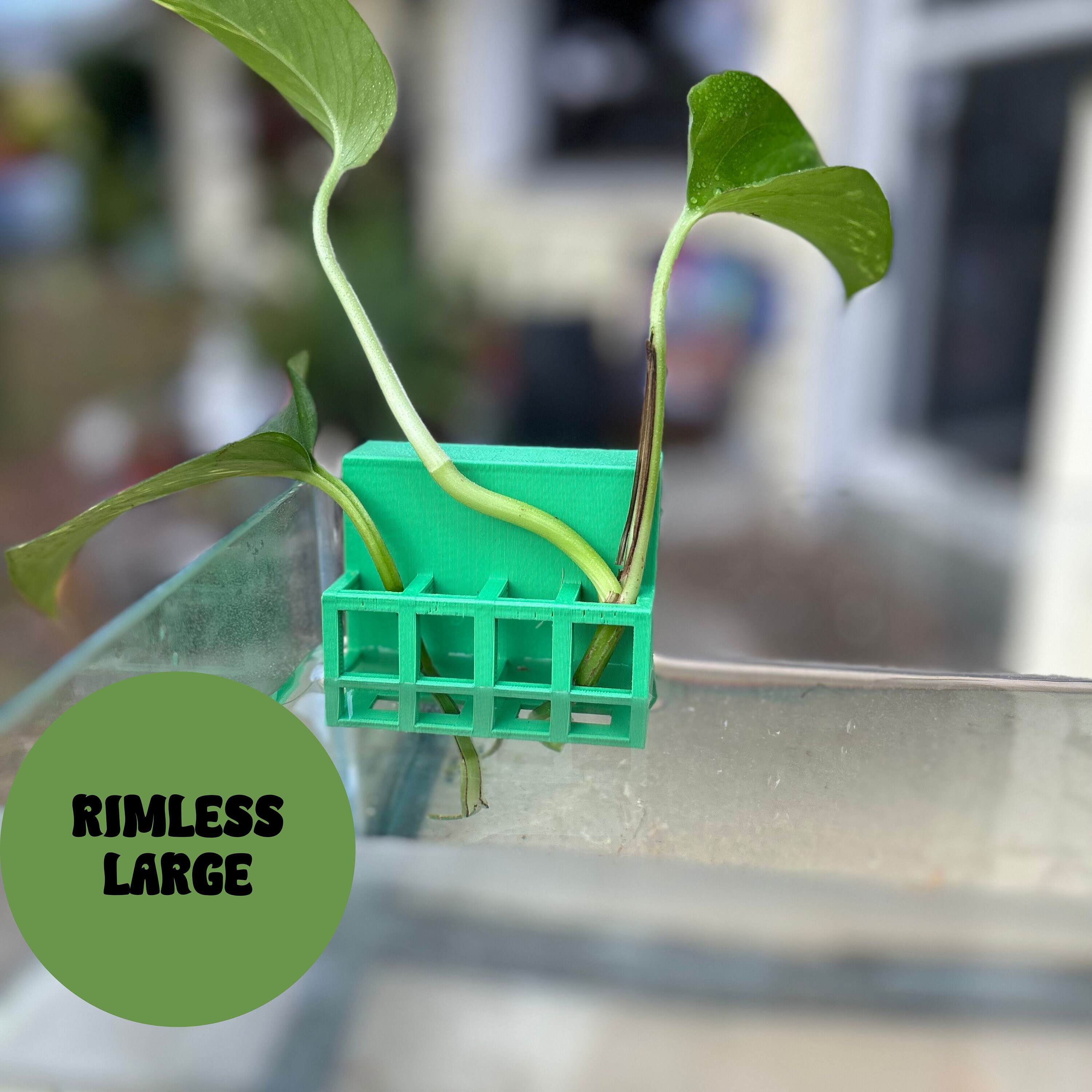 Aquarium Plant Holder Adjustable for 10–125 Gallon RIMLESS Fish Tanks Pothos Plant Holder 3D Printed "The Large"