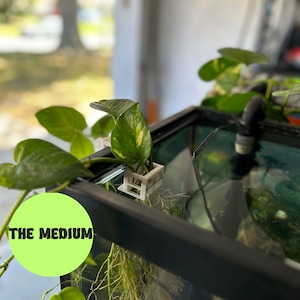 Aquarium Plant Holder Adjustable for 10–200 gallon Fish Tanks Pothos Plant Holder 3D Printed &quot;The Medium&quot;