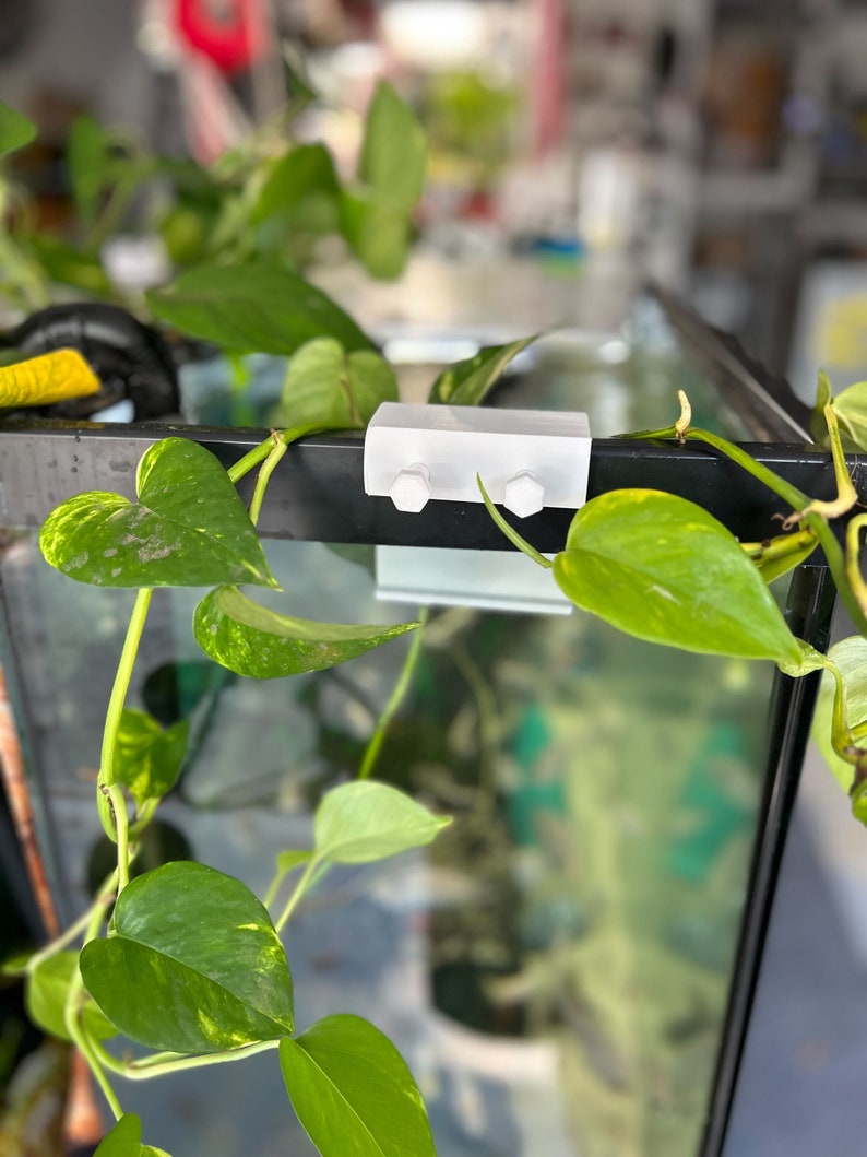 Pawfly Aquarium Plant Holder For Fish Tanks, Clear Plastic Fish Tank