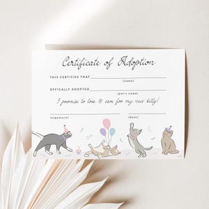 Cat Adoption Certificate Adopt a Kitten Form Editable Cat Certificate of Adoption Card Template Pink Kitty Birthday Pawty Download, 0069