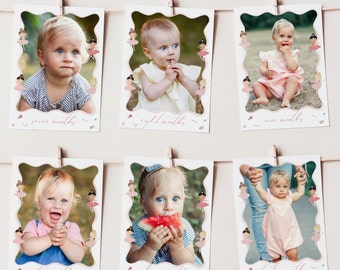 Ballerina Birthday Month Photo Banner Sign, Pink Dancer Birthday Monthly Picture Cards, Ballerina Decorations, First Birthday Party, 0011