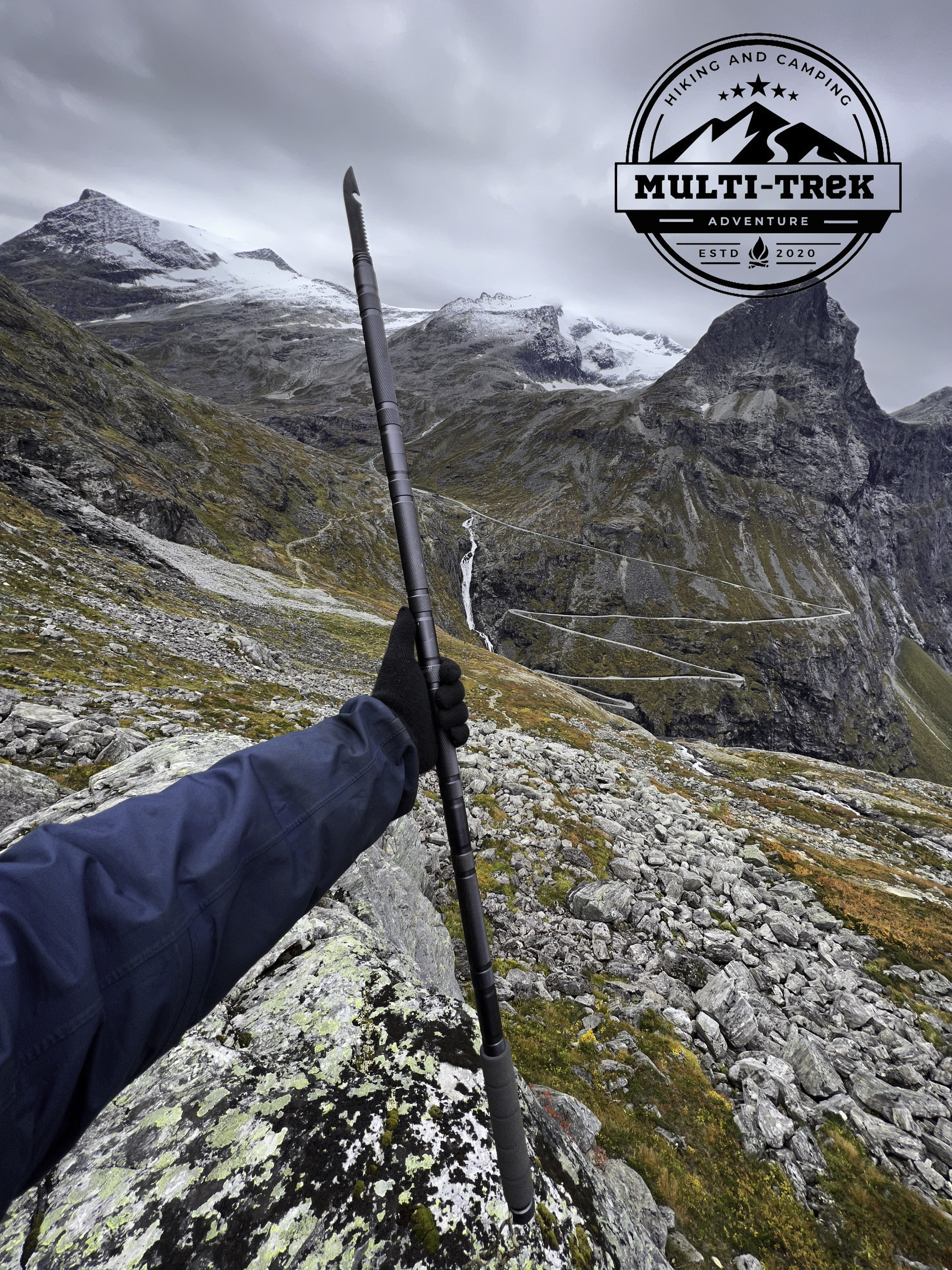 Multifunctional Survival Walking Stick Etsy