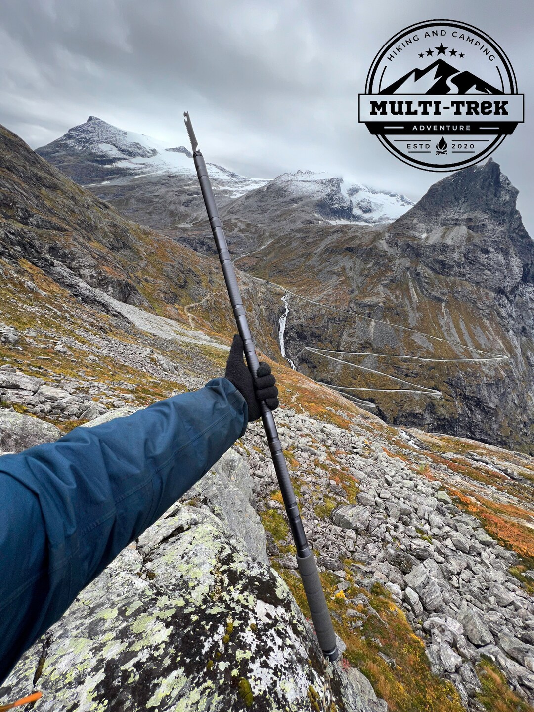 Multifunctional Survival Walking Stick Etsy