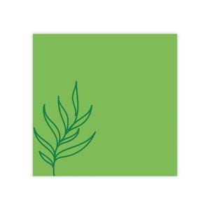 Post-it® Note Pads