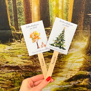 Könnte beinhalten: Zwei Holzstäbe mit weißen rechteckigen Schildern mit Aquarellillustrationen eines Baumes und eines Weihnachtsbaumes. Die Schilder haben deutschen Text. Der Hintergrund ist eine verschwommene Waldszene.