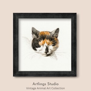 Head of a Calico Cat With Closed Eyes 1819, French Pencil Drawing, Antique Printable Artwork, Digital Download, Vintage Wall Art - V18