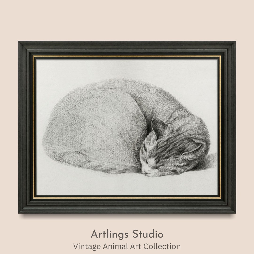 Rolled up Lying, Sleeping Cat, Black and White Line Drawing, Vintage ...