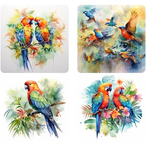 水彩画の熱帯の鳥とオウムのPNGバンドル、花と葉のある熱帯の鳥、即時ダウンロード、商用利用可