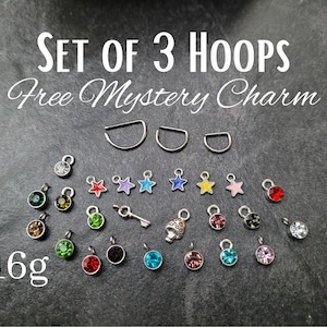 3 Pack 16g D-Shaped Hoop Septum Cartilage Helix Rook Conch Daith Tragus Silver Earring cartilage piercing ear 8mm 10mm 12mm jewelry star key