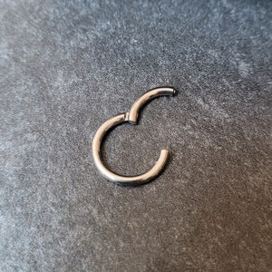 May include: A silver seamless ring for body piercing.