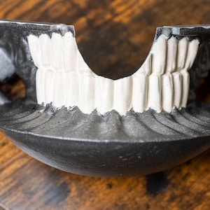 K&ouml;nnte beinhalten: Eine dunkelgraue, stilisierte Kieferknochenskulptur mit wei&szlig;en Z&auml;hnen. Die Skulptur hat eine schalenf&ouml;rmige Basis und zwei seitliche Griffe. Die Z&auml;hne sind detailliert und das Gesamtdesign hat ein gotisches oder Halloween-Thema.