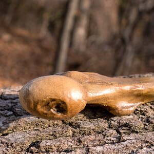 Op de afbeelding: Een close-up van een houten wandelstok met een afgeronde knop aan het uiteinde. De stok rust op een ruwe, met schors bedekte boomstam.