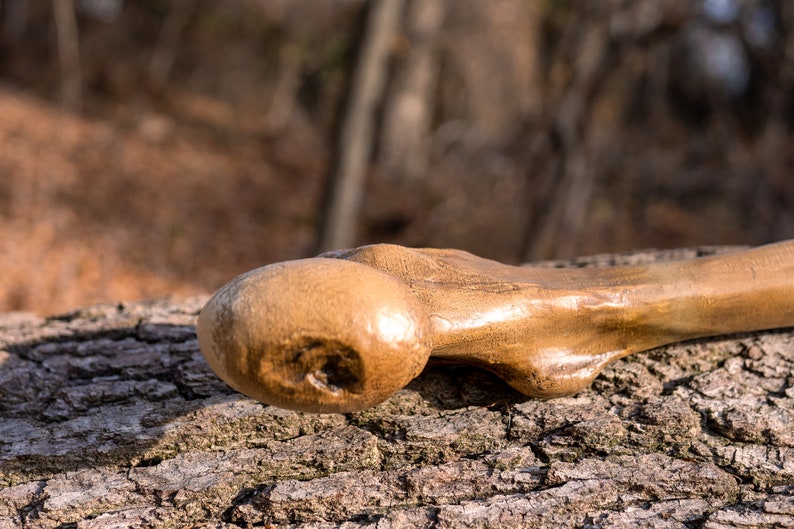 Op de afbeelding: Een close-up van een houten wandelstok met een afgeronde knop aan het uiteinde. De stok rust op een ruwe, met schors bedekte boomstam.