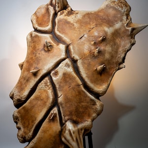 May include: A large, abstract sculpture with a textured, bone-like appearance. The piece is primarily shades of brown and beige, with sharp, pointed protrusions. It is mounted on a black stand, suggesting a display piece or art object.