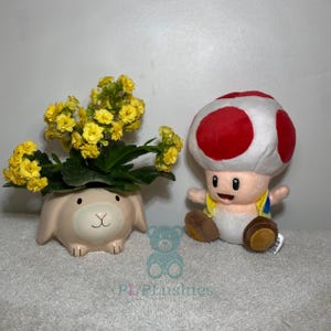 Rote Kröte Super Mario Bros Plüschtier