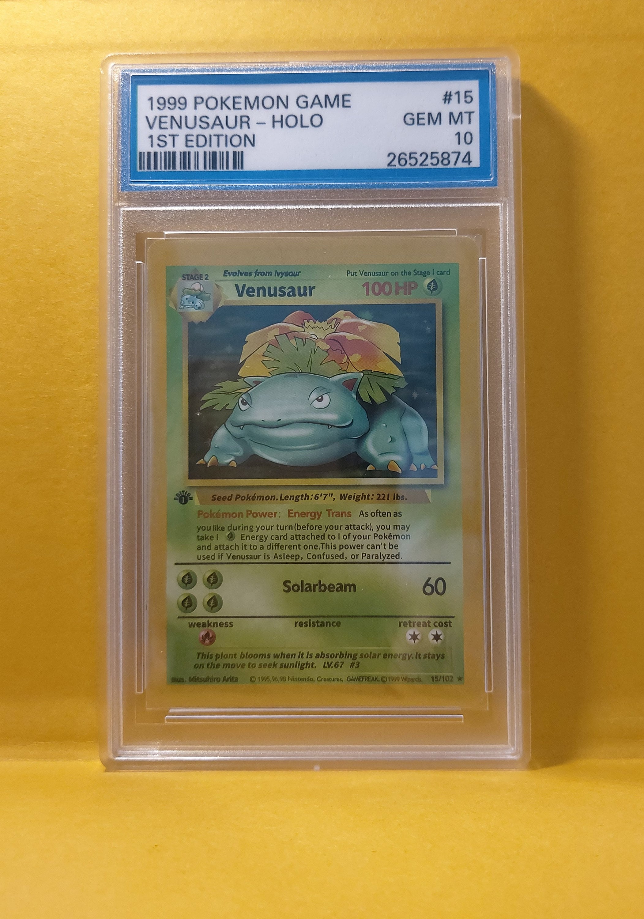 Venusaur - Fanmade Pokèmon Card - Holo - 1st Edition - GEM