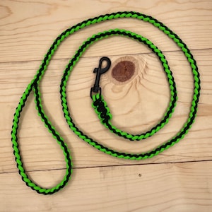 May include: A black and green braided dog leash with a black metal clip.