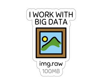 Adesivo "Lavoro con i Big Data": regalo per programmatori, decalcomania per laptop