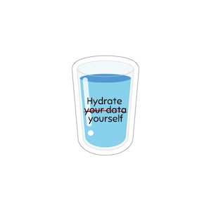Hydrate Yourself Laptop Sticker Developer Sticker Programmer Gift Programming Humor Software Developer Sticker Web Developer Vinyl Sticker