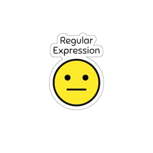 Regular Expression Sticker Developer Sticker Programming Sticker Gift for Programmer Sticker Javascript Developer Sticker