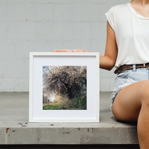 Blooming tree Print, Tree Wall Art, Printable Photo of Cyclist, Nature Landscape Photography Print, Digital Printable Wall Art, Film Photo