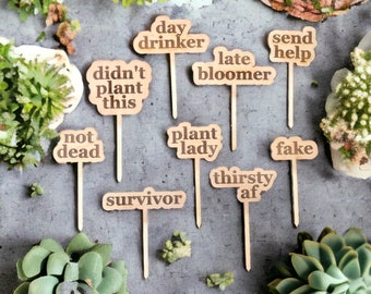 Estaca de planta atrevida / Estaca de planta divertida / Marcadores de plantas con actitud