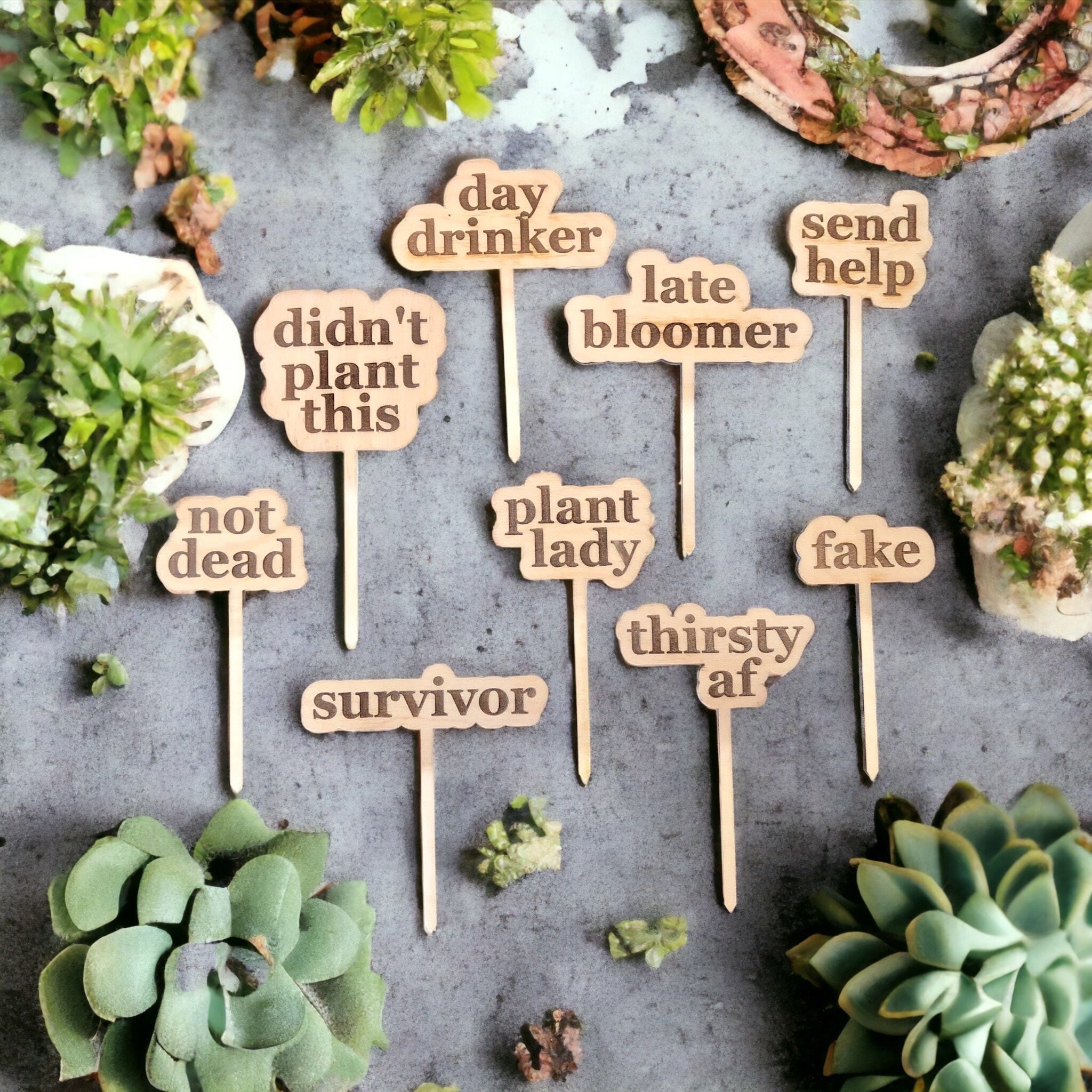 Funny Plant Markers Sign Gift Tags – Cracked Ginger