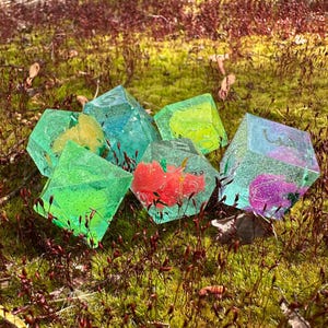 Rainbow Frogs (Read Desc.)