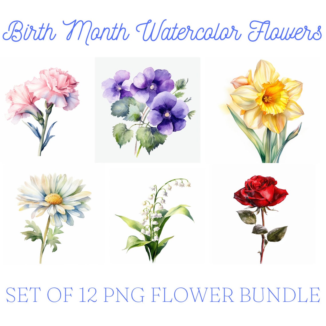 Watercolor Birth Month Flowers Clipart Bundle Set of 12 PNG Files for