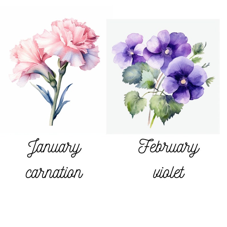 Watercolor Birth Month Flowers Clipart Bundle Set of 12 PNG Files for