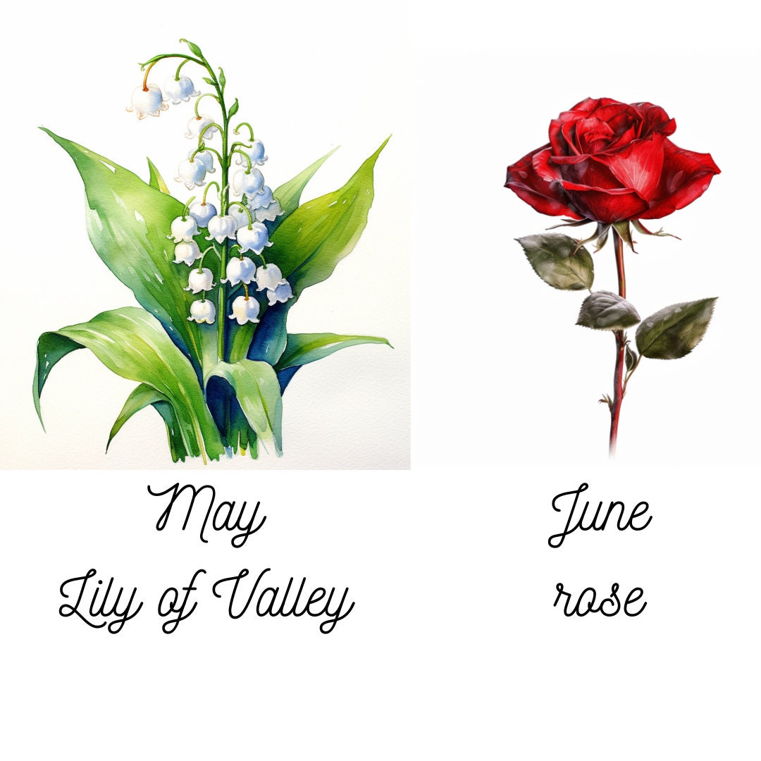 Watercolor Birth Month Flowers Clipart Bundle Set of 12 PNG Files for