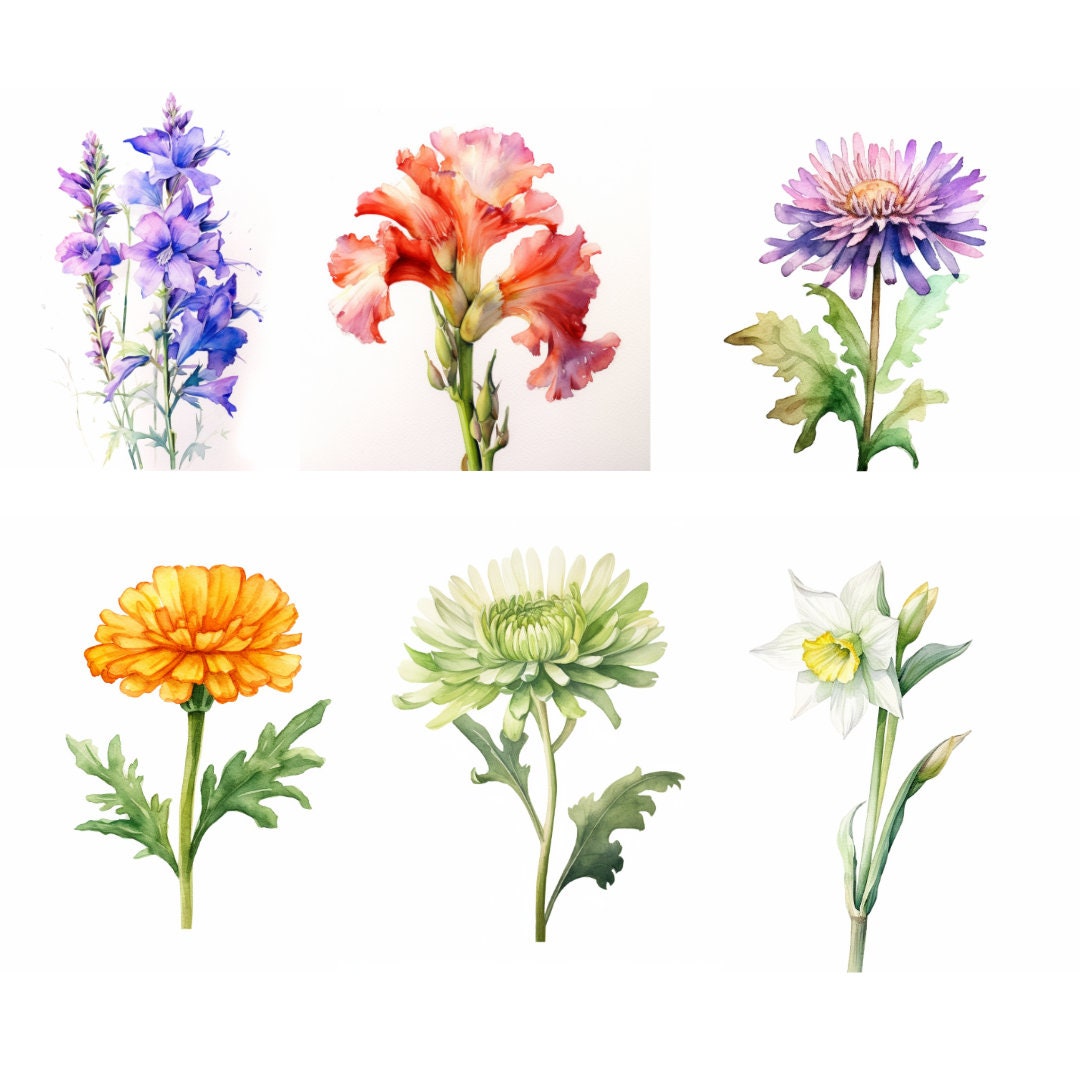 Watercolor Birth Month Flowers Clipart Bundle Set of 12 PNG Files for