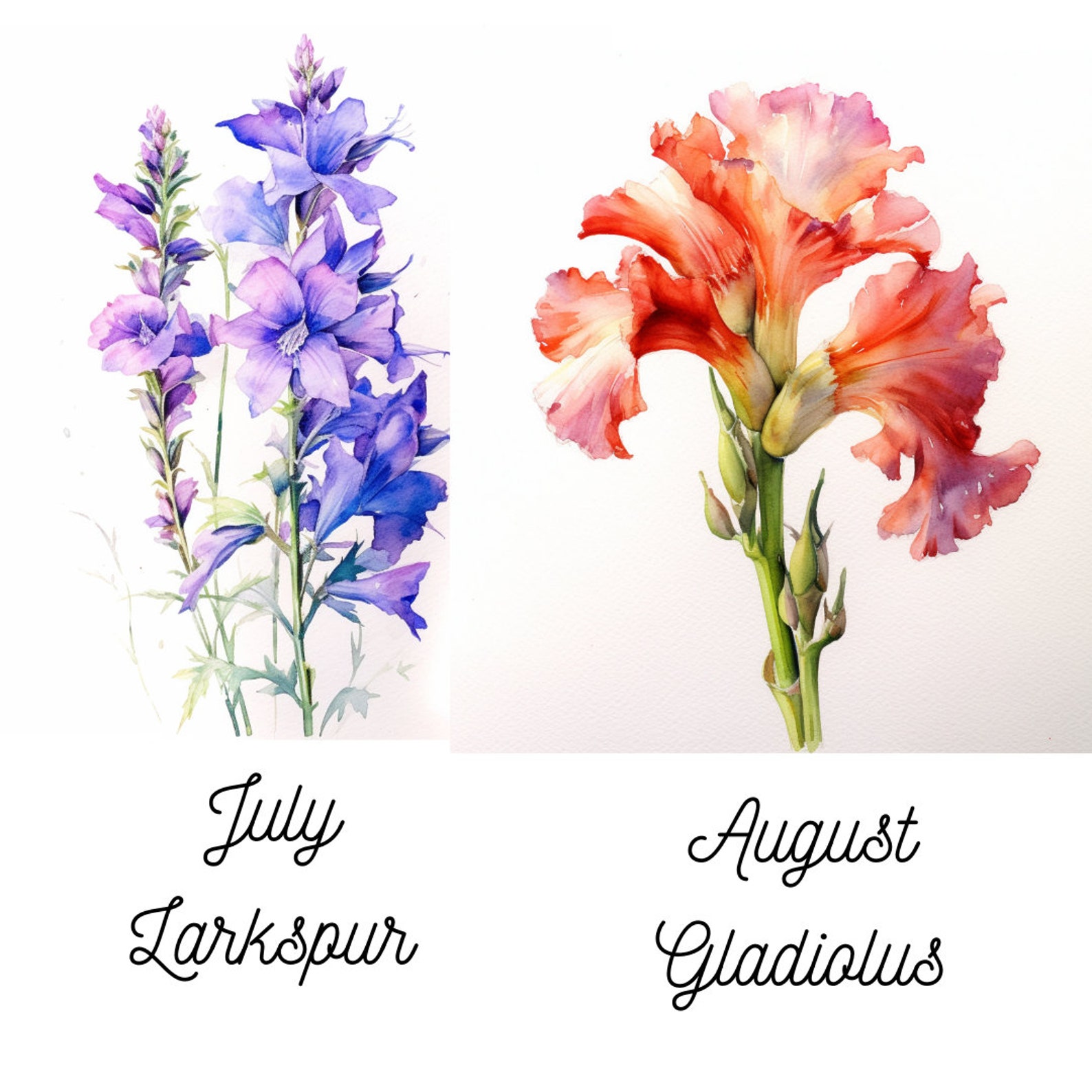 Watercolor Birth Month Flowers Clipart Bundle Set of 12 PNG Files for