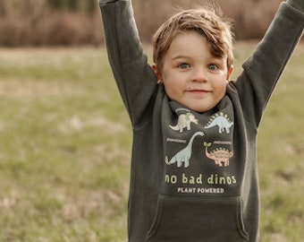 Girls/Boys Hoodie - Dinosaur Inspired Graphic - Ethically Sourced Clothing. Choice of Colors