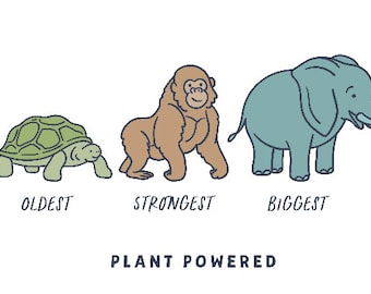 Infant Onesie - Oldest, Strongest, Biggest - Plant Powered Ethical Clothing