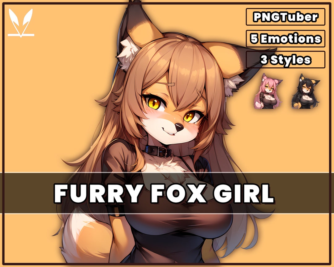 PNGTuber Furry Fox Girl 2D Premade Model With 3 Variations And Etsy 