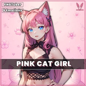 pngTuber, Pink Cat Girl Neko 2d Vtuber | Premade model with 5 expressions, ready for streaming | Veadotube | Twitch