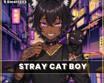 PNGTuber Stray Cat Boy modello 2D predefinito con 5 emozioni per lo streaming / Veadotube / png / Twitch / maschio pngtuber